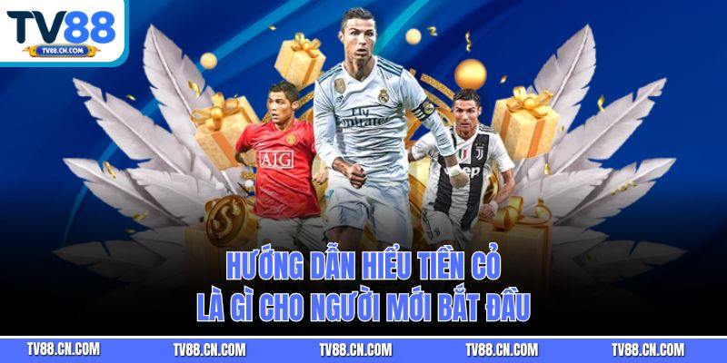 Hướng dẫn hiểu tiền cỏ là gì cho người mới bắt đầu